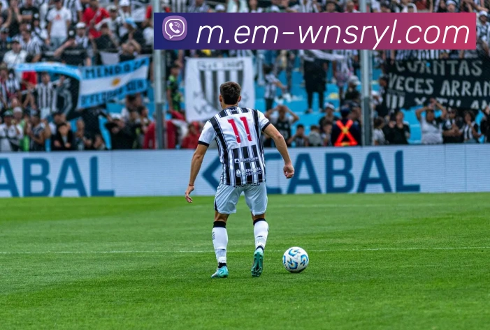 威尼斯人线上娱乐平台生态图